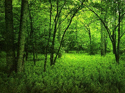 Think green