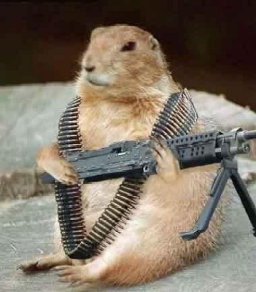Groundhog Day