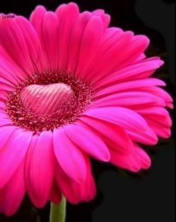 Thinking of You